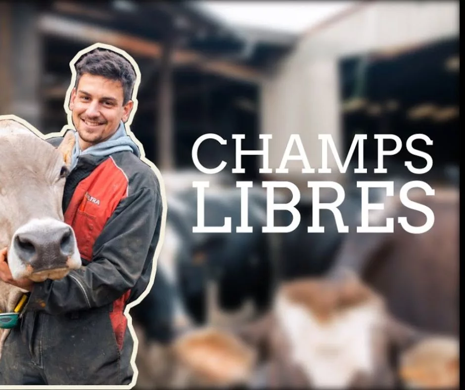 Lire la suite à propos de l’article Vidéo de Champs libres sur l&rsquo;entreprise PLC