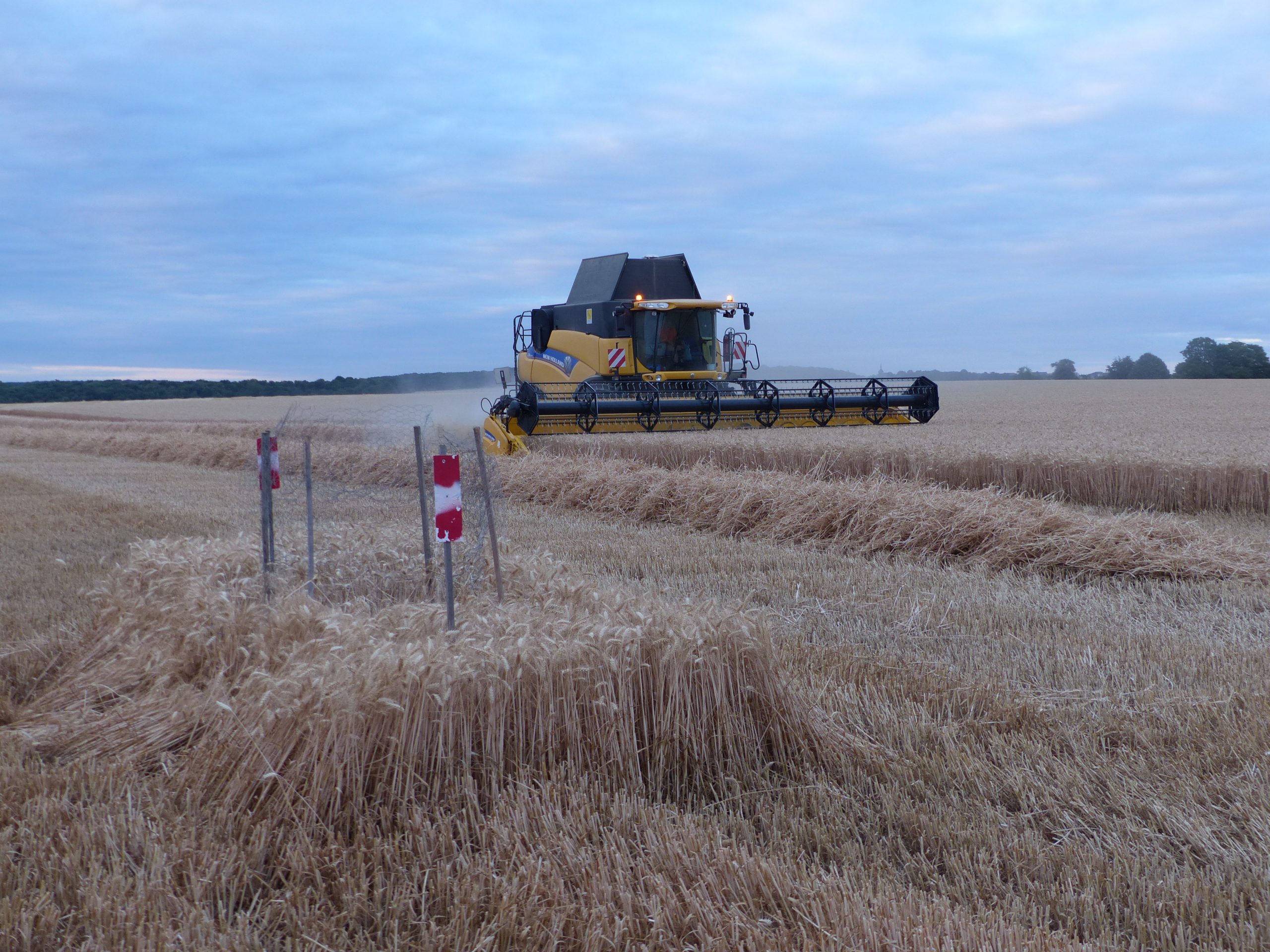 Lire la suite à propos de l’article Pensez à protéger les busards