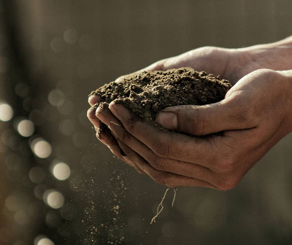 fertilisation de la terre